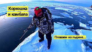 Smelt & Flatfish fishing. On the ice plate!