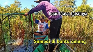 Banjir lagi ‼️ waktu yang tepat untuk berburu ikan biawan/tembakang