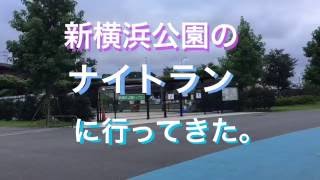 オーストラリアンラブラドゥドールと新横浜公園ナイトラン