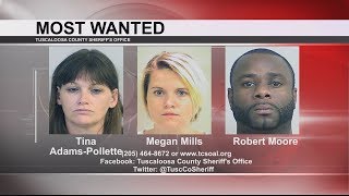 TUSCALOOSA'S MOST WANTED: JUNE 7, 2017