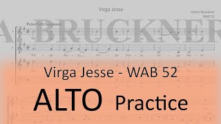 Bruckner, WAB 52 (Virga Jesse) - Alto practice