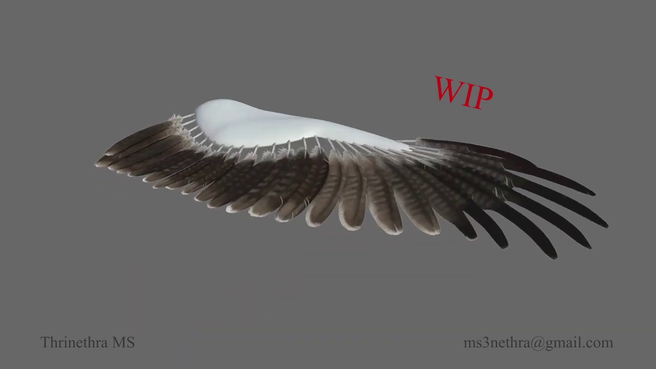 Wing Dynamic Rig Yeti Feathers Wip Youtube