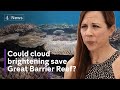 Great Barrier Reef: Could cloud brightening slow impact of coral bleaching?