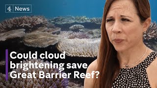 Great Barrier Reef: Could cloud brightening slow impact of coral bleaching?