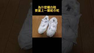 為什麼刷完的白鞋一定要放白紙#科普 #shorts