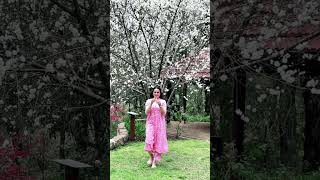 Taara Tuttya (Official Video) Gur Sidhu | Reet Narula | Jassi Lohka | New Punjabi Song 2021 Loyal Pu