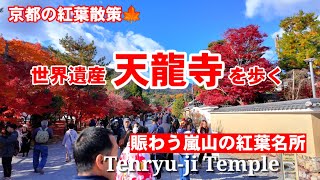 12/8(日)京都の紅葉散歩🍁紅葉で賑わう嵐山天龍寺を歩く【4K】Tenryu-ji Temple