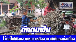 บุรีรัมย์เก็บสะสมฟืนไว้ก่อผิงไฟคลายหนาวหลังอากาศเย็นลงต่อเนื่อง