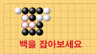 바둑 맥점 사활 - 기가막힌 묘수가 나옵니다! 백을 꼭 잡아보세요