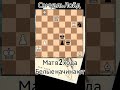 🧠 задача Лойда 6. Мат в 2 хода. chess_stories_shorts chess шахматы задачи шахматныезадачи