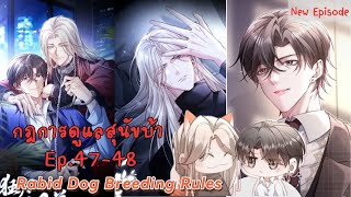 【สปอยล์วาย】 : กฎการดูแลสุนัขบ้า ตอนที่ 47-48