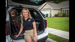 Pet Preparedness For A Hurricane