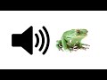 frog croaking sound effect prosounds