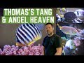 Thomas's Tang & Angel Heaven