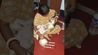 ছেলের প্রতি মায়ের ভালোবাসা #dog #doggielife #dog #doggys #doggys 🌹🙏 #desidog #dogsworld #dogslife