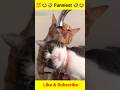 💯😂🤣 Funniest New 🤣😺🐕 Animals #shorts #funny #viral