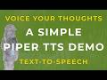 Voice Your Thoughts - A Simple PIPER TTS Demo