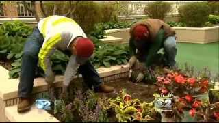 Landscapers Working Overtime To Repair Damage From Harsh Winter