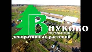 Питомник Внуково- 55 гектар растений в Подмосковье