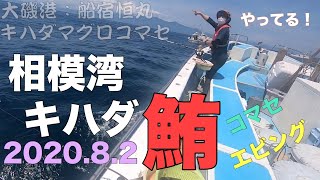 2020年8月2日 相模湾 キハダ鮪 コマセ・エビング釣り 大磯港恒丸