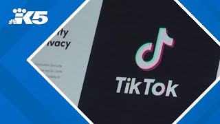 TikTok back online after brief shutdown in the United States; Trump promises to delay app's ban