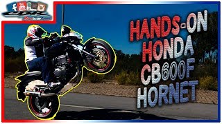 Hands-On 2010 Honda CB600F Hornet || Wheelies