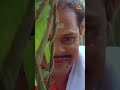 ഇത്തിരി കുറുന്തോട്ടി പറിക്കാൻ വന്നതാ മക്കളെ 😂🤣| Mister Butler | Malayalam Comedy Scenes | Innocent