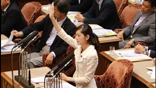 【佐々木さやか】安倍総理に、平和安全法制について質問！～2015年08月21日（NHK中継あり）