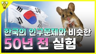 현재 한국의 인구문제를 보는듯한 50년 전 생쥐를 이용한 실험