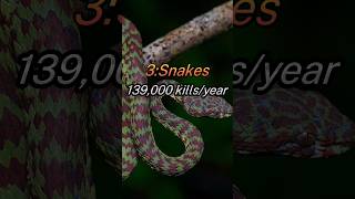 Top 7 Most Dangerous Animals in the World #shorts #Crazy-7