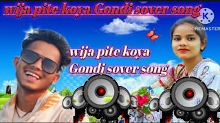 WIJA pite koya Gondi sover songl ADLVAS   वीजा पीटें Going Good गोंडी वीडियो बस्तर गोंडी गीत