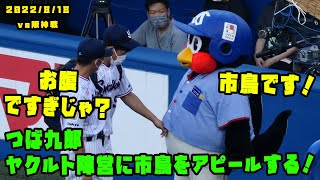 つば九郎　選手やコーチに市鳥であることをアピールする　2022/8/18 vs阪神