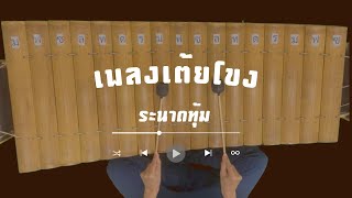 เพลงเต้ยโขง | ระนาดทุ้ม