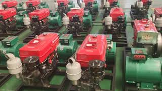 10KW diesel generator single cylinder engine water cooled with pulley