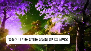 찰나 같은 봄날의 밤🌌🌸 아이묭 - On a Cherry Blossom Night [가사해석]