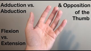 Abduction vs. Adduction, Flexion vs. Extension and Opposition of the Thumb