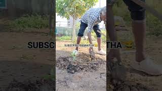 எல்லாம் படியுங்க ... ஆனா அந்த அளவுக்கு விவசாயம் 👨‍🌾🌳🌴 #youtubeshorts #tamil #trending #farming #love