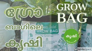 ഗ്രോ ബാഗുകള്‍ - Grow bag usages, it's benefits and other details