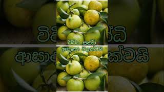 #shortvideo ලෙඩ නොවෙන්න නම් හීන් නාරං කන්න