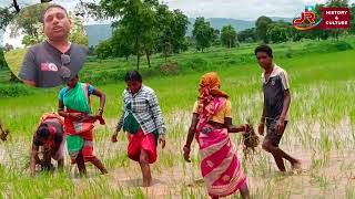 Aji Mui Halia  Geet Pade Gaeli || Maa Mane Hulhuli Dele || Amar Area Ra Dhan Chas|| Jr Sushant