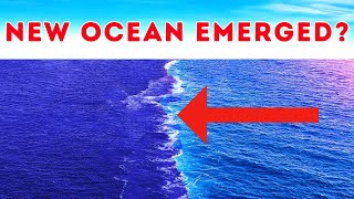 Why Experienced Sailors Avoid This New Ocean at All Costs?