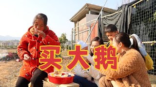 两个儿媳想吃鹅，婆婆立马拿出500块给儿媳，有这种婆婆太幸福了