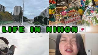 A Daily|| Life in JAPAN 🇯🇵|| OYASUMINO HI🌸