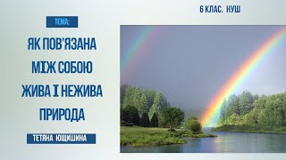 Урок 44. Як пов'язана між собою жива і нежива природа. Чи зручно жити у воді. 6 клас. НУШ