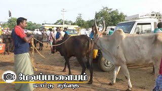 6.1.2025 Melapalayam mattu santhai | மேலப்பாளையம் மாட்டு சந்தை