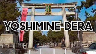 【Japan】Yoshimine-Dera Hidden Temple Kyoto in February 2021善峯寺