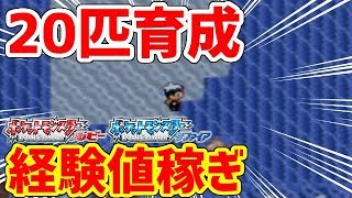 【ポケモンRS】3世代の経験値稼ぎはこれで間違いない