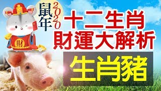 林海陽 2020十二生肖運勢 財運大解析-豬 109年金鼠年(庚子) 20190105