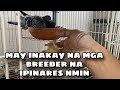 MAY INAKAY NA MGA BREEDER NA IPINARES NAMIN |Reggie Cruz Loft & Aviary #reggiecruzloftandaviary