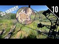 THE FINAL STALK! - Hunting a New Mexico Muley on Public Land